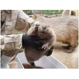 日記画像