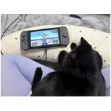 日記画像