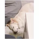 日記画像