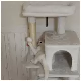 日記画像