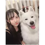 日記画像