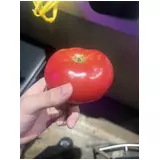 日記画像
