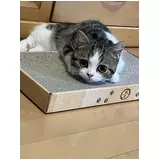日記画像