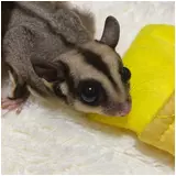 日記画像