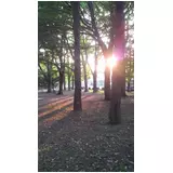 日記画像