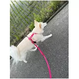 日記画像