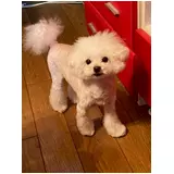 日記画像