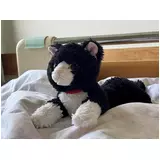 日記画像