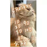 日記画像