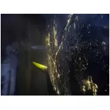 日記画像