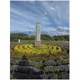 日記画像