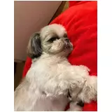 日記画像