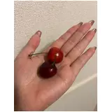 日記画像