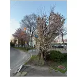 日記画像