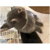 日記画像