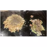 日記画像