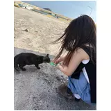 日記画像
