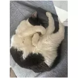 日記画像