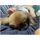 日記画像