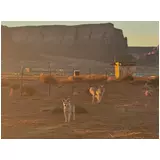 日記画像