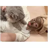 日記画像