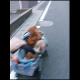 日記画像