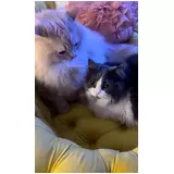 日記画像
