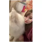 日記画像