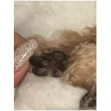 日記画像