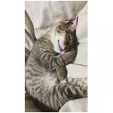 日記画像