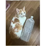 日記画像