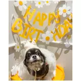日記画像