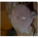 日記画像