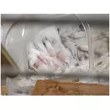 日記画像