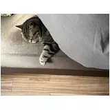 日記画像