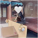 日記画像