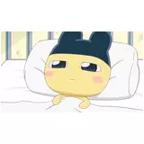 日記画像