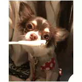 日記画像