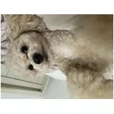 日記画像