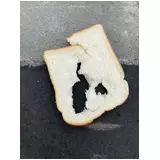 日記画像