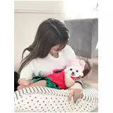 日記画像