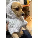 日記画像