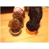 日記画像