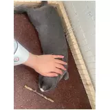 日記画像