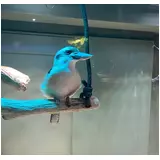 日記画像