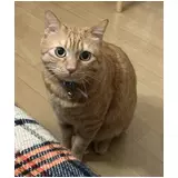 日記画像