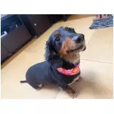 日記画像