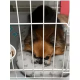 日記画像