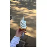 日記画像