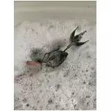 日記画像